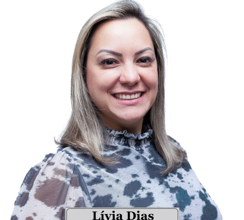 L&iacute;via Concei&ccedil;&atilde;o Dias da Silva  - MDB 